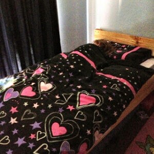 Bedguard mattress review